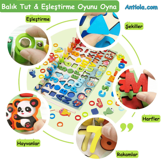 Logaritmik Ahşap Oyuncak - Antiola