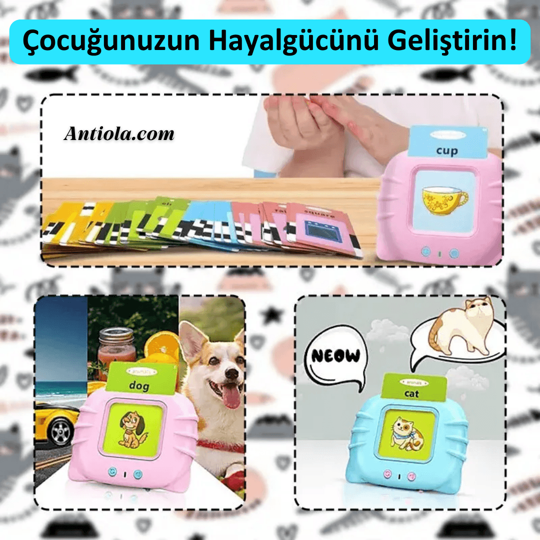 KittyLingo İngilizce Eğitim Seti - Antiola