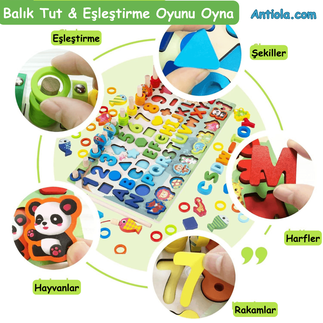 Logaritmik Ahşap Oyuncak - Antiola