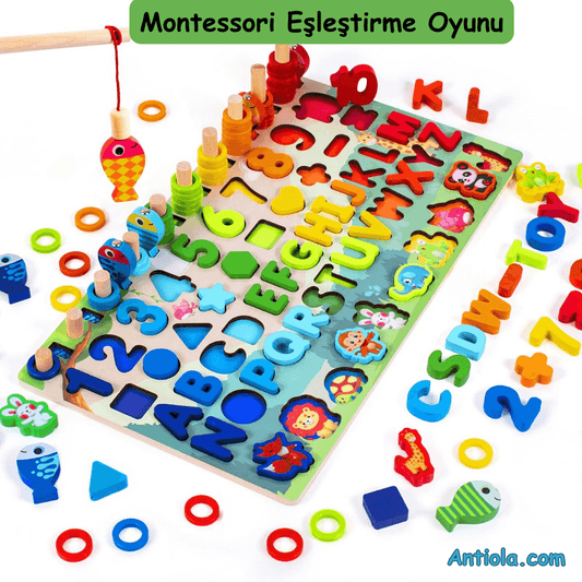 Logaritmik Ahşap Oyuncak - Antiola