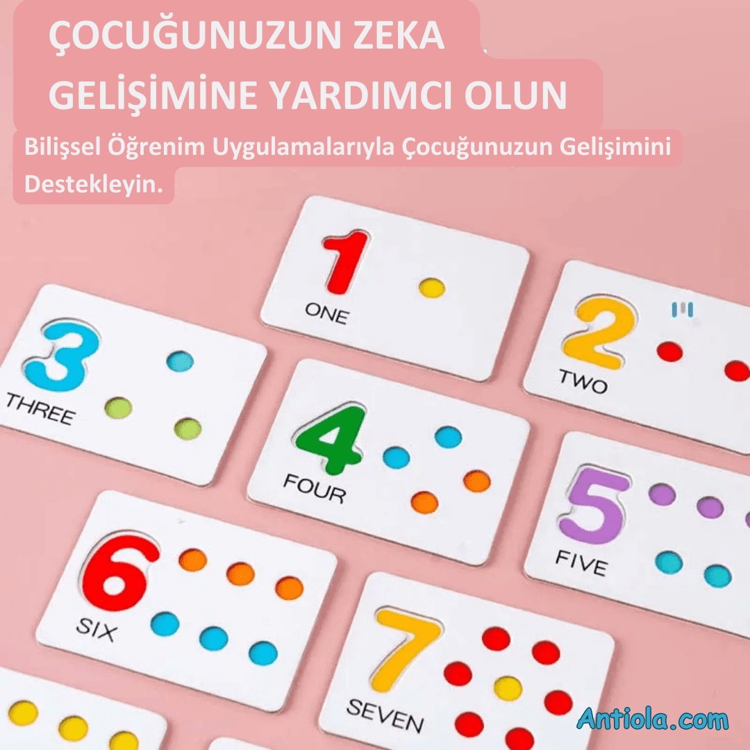 Mini Matematik Keşif Seti - Antiola